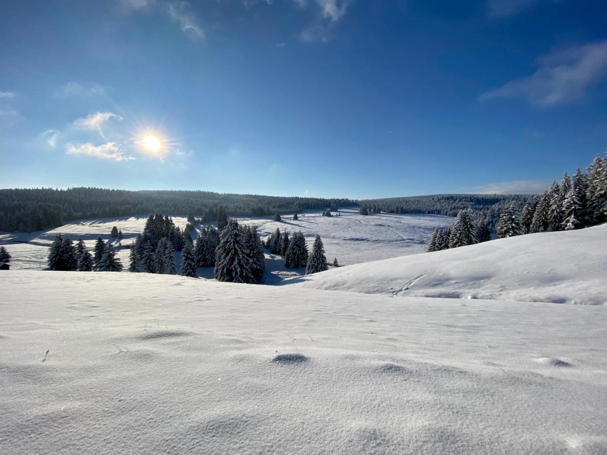 Vila Jáchymov Buitenkant foto