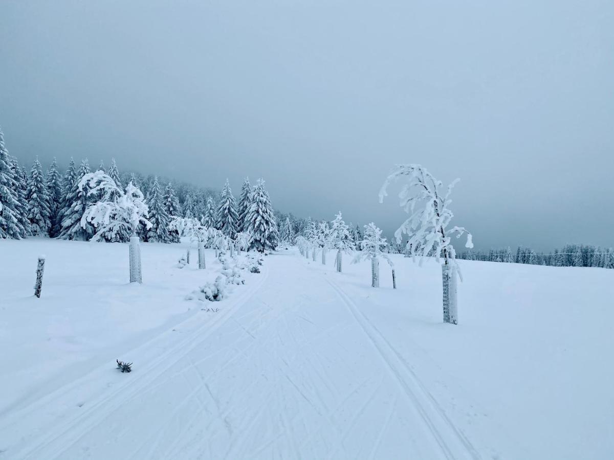 Vila Jáchymov Buitenkant foto
