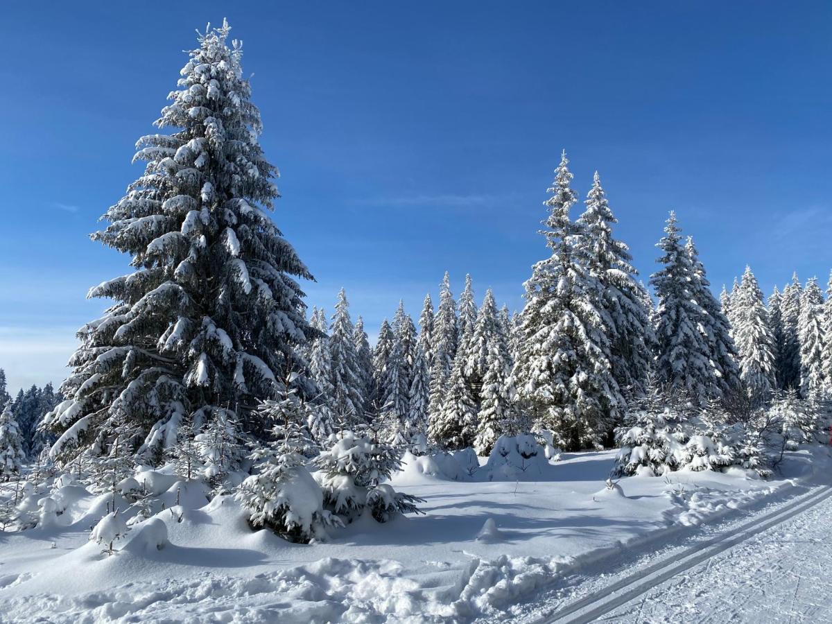 Vila Jáchymov Buitenkant foto